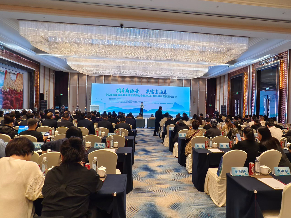 2025浙江省商务系统省级商协会助力山区海岛县共富资源对接会在松阳召开,签约金额超10亿元